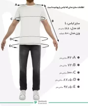 تیشرت آستین کوتاه مردانه جوتی جینز مدل S42573776 - تصویر 4